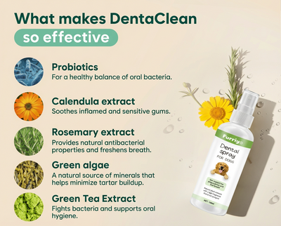 DENTALSPRAY® - Dogs/Cats