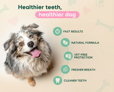 DENTALSPRAY® - Dogs/Cats