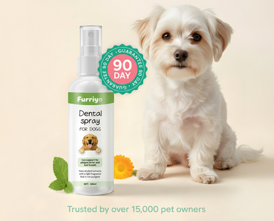 DENTALSPRAY® - Dogs/Cats
